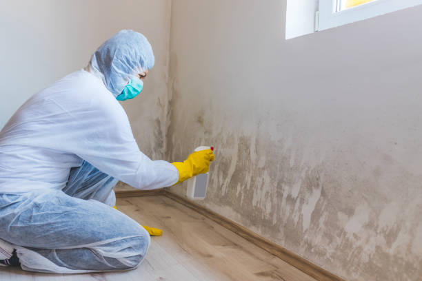 Mold inspector in Rising Sun performing thermal imaging