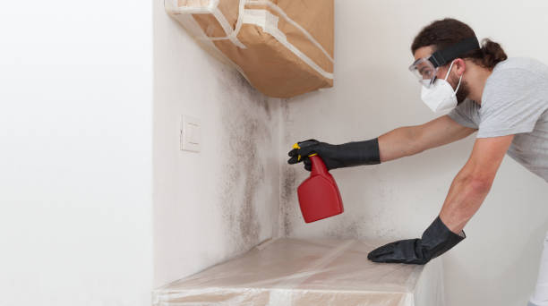 Attic Mold Remediation treatment on roof deck in Rising Sun